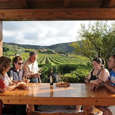 Casa Nel Vigneto Con Vista Mare 마고마다스